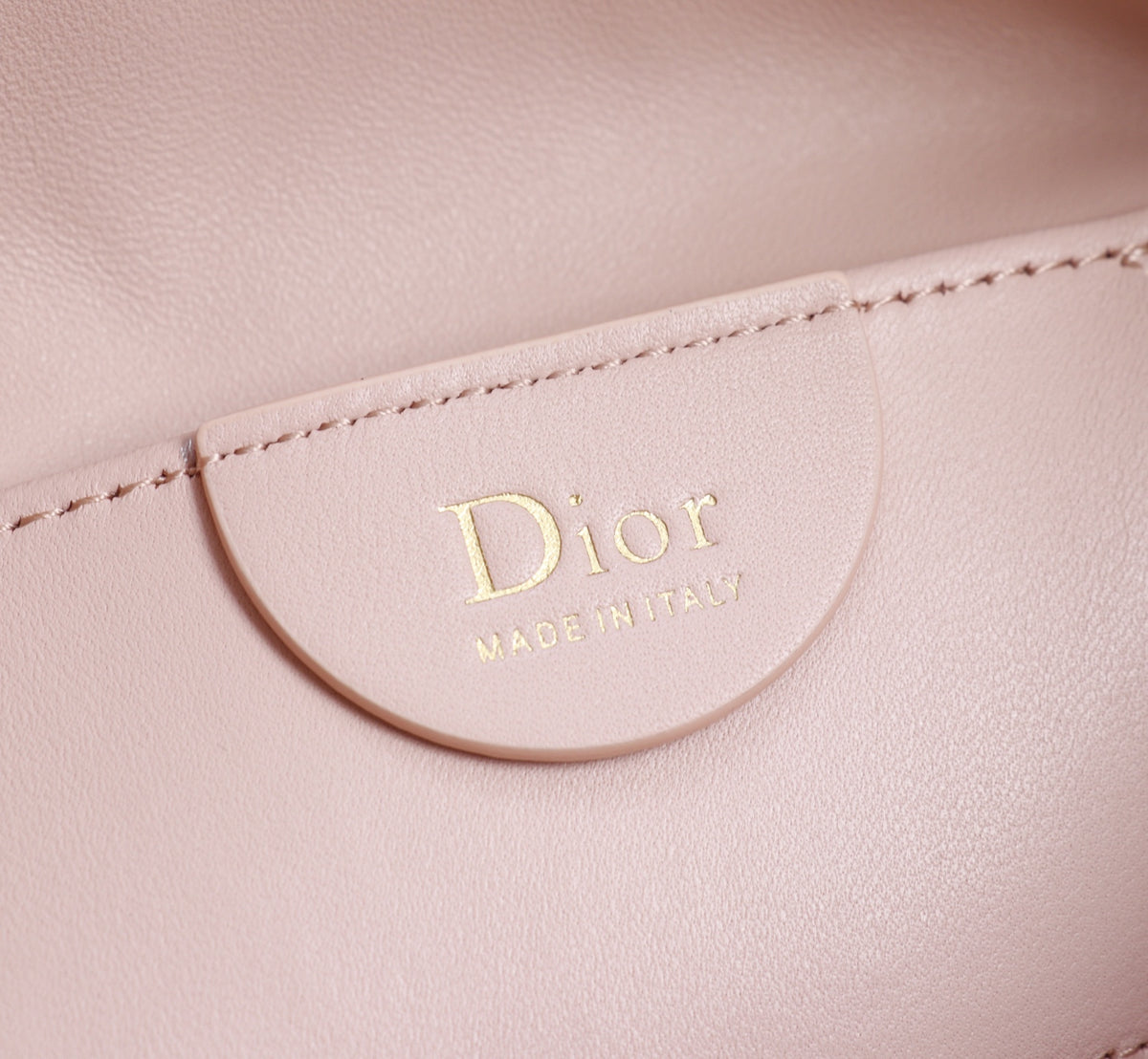 Dior Jonathan Anderson Mini Lotus Pink Gold Hardware 1538S