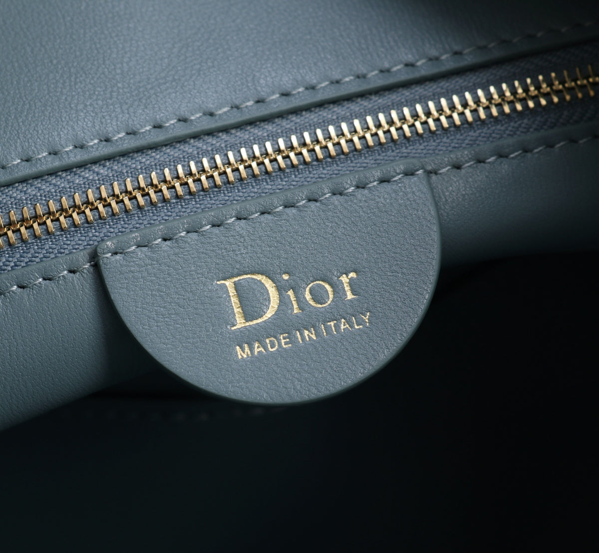 Dior Jonathan Anderson Army Green Blue Gold Hardware 1538