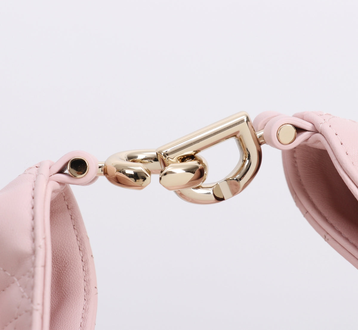 Dior Jonathan Anderson Cherry Blossom Pink Gold Hardware 1538