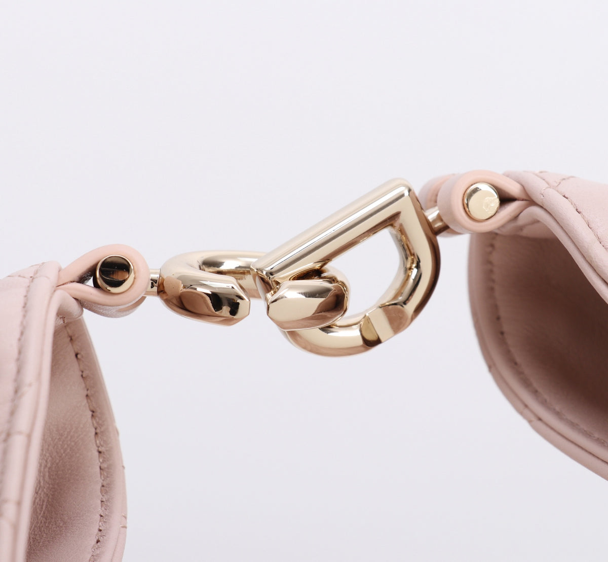 Dior Jonathan Anderson Lotus Pink Gold Hardware 1538