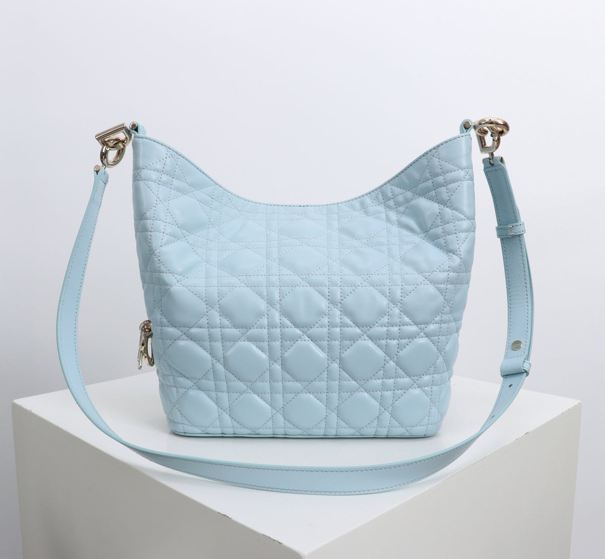 Dior Jonathan Anderson Glacier Blue Gold Hardware 1538