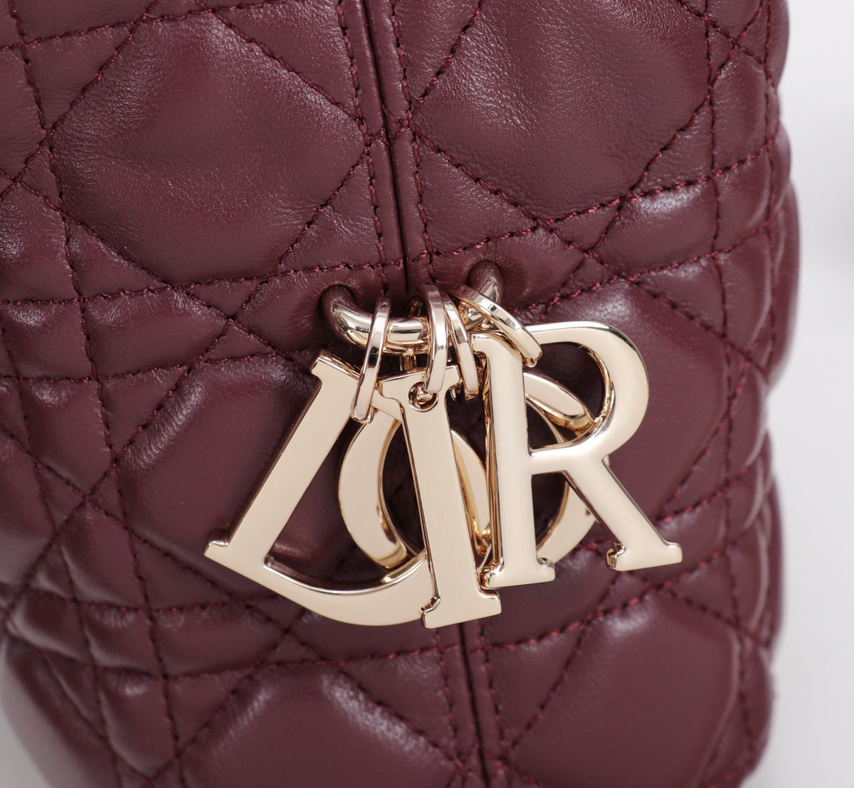 Dior Jonathan Anderson Wine Red Gold Hardware 1538