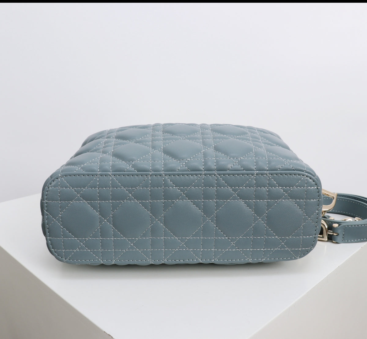 Dior Jonathan Anderson Army Green Blue Gold Hardware 1538