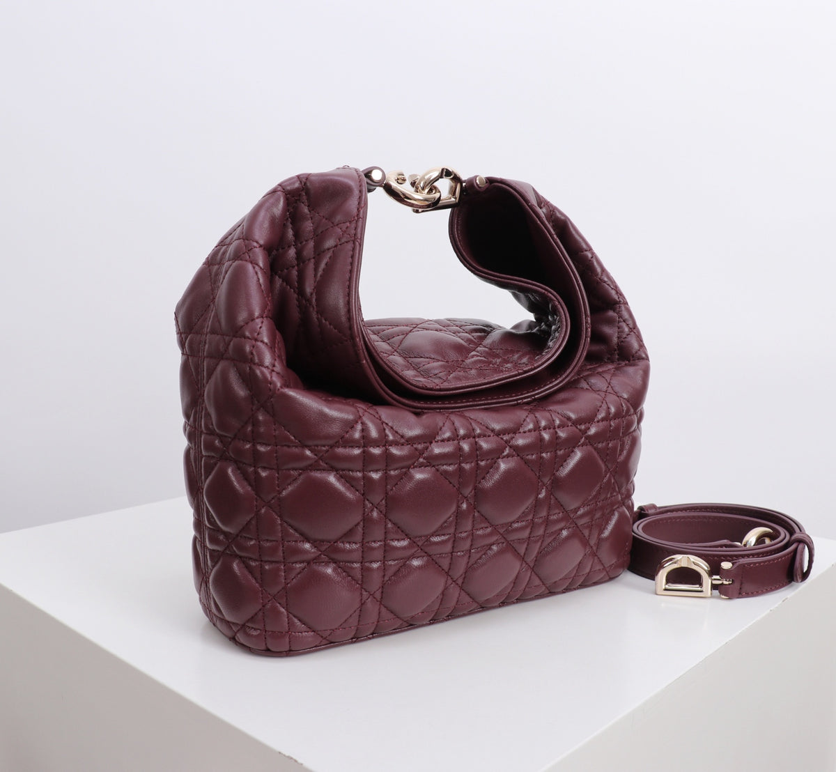 Dior Jonathan Anderson Wine Red Gold Hardware 1538
