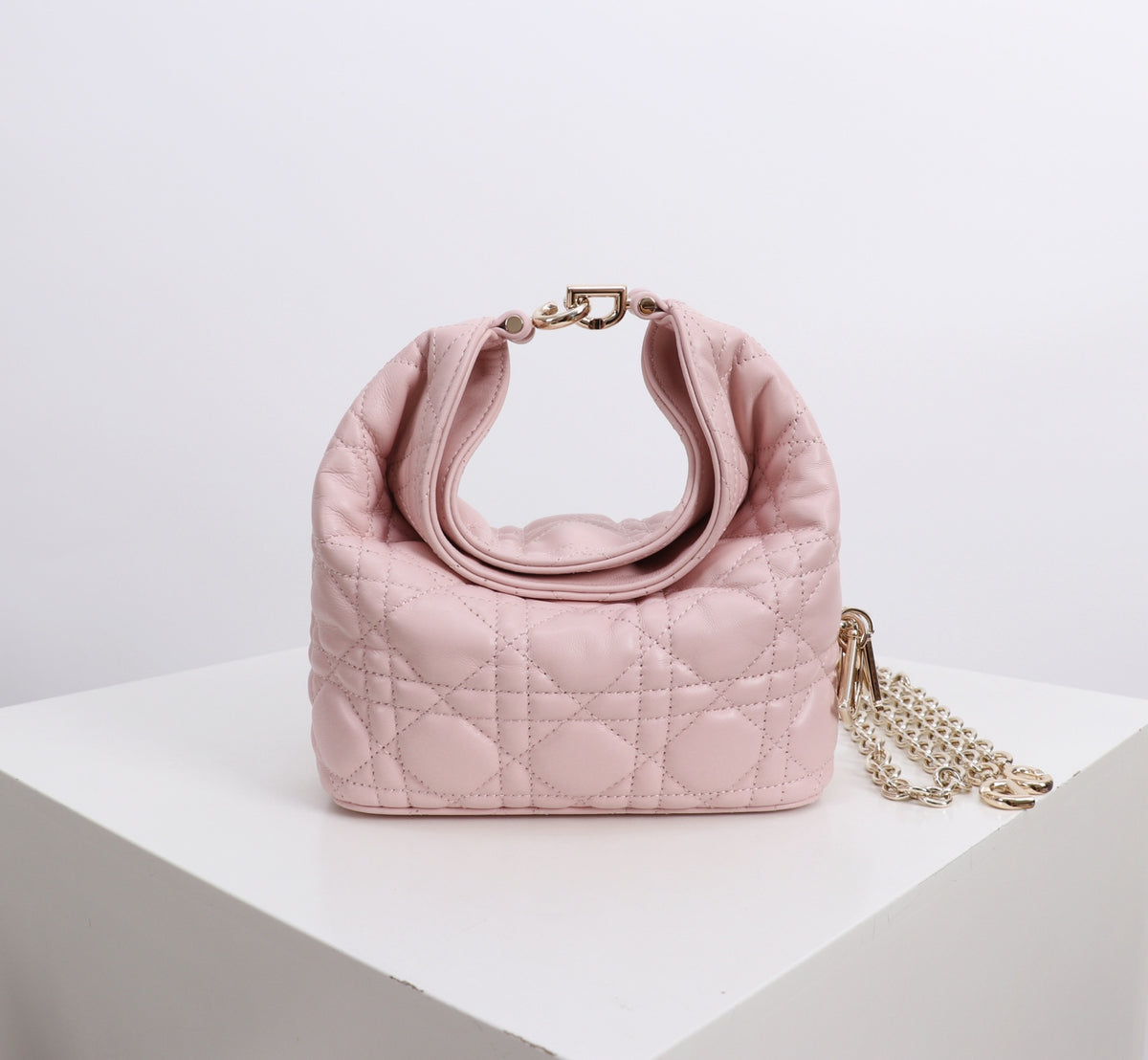 Dior Jonathan Anderson Mini Cherry Blossom Pink Gold Hardware 1538S