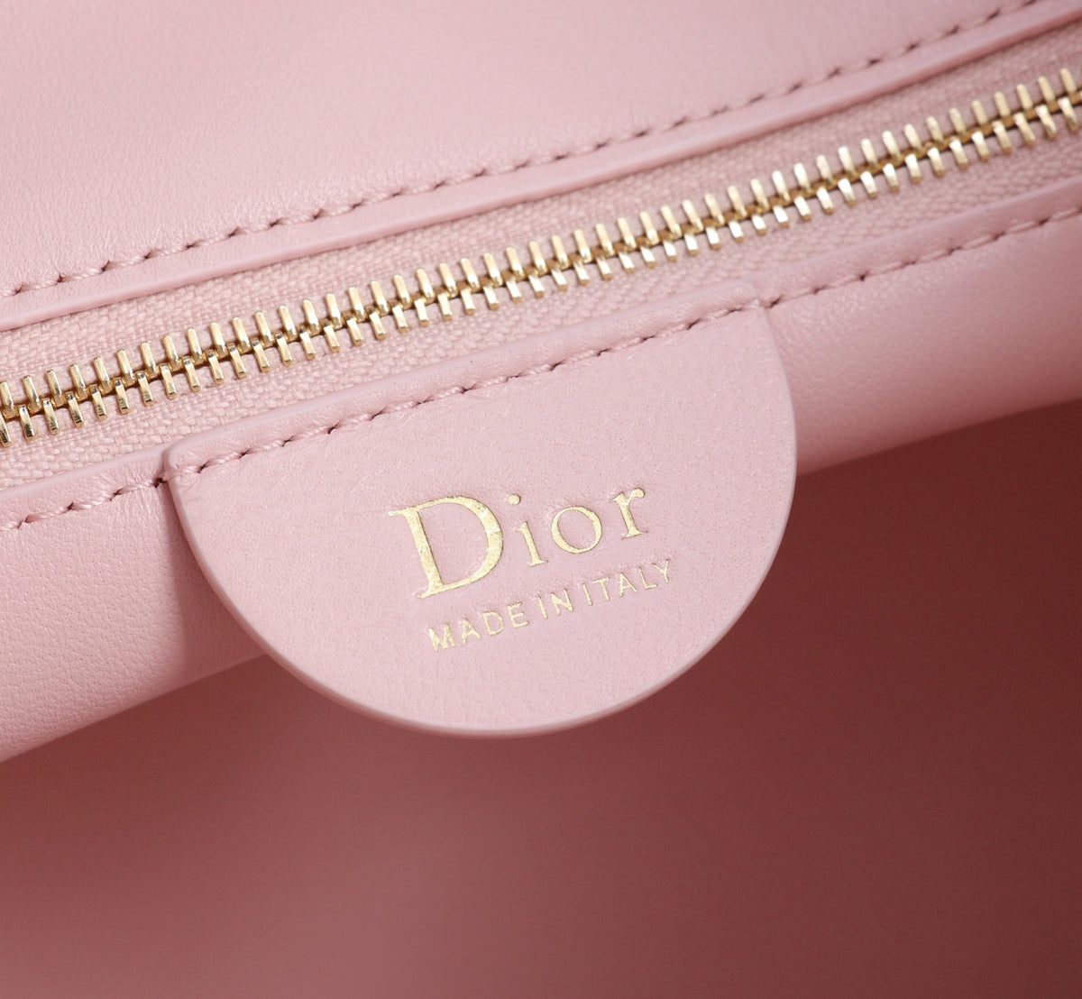 Dior Jonathan Anderson Cherry Blossom Pink Gold Hardware 1538