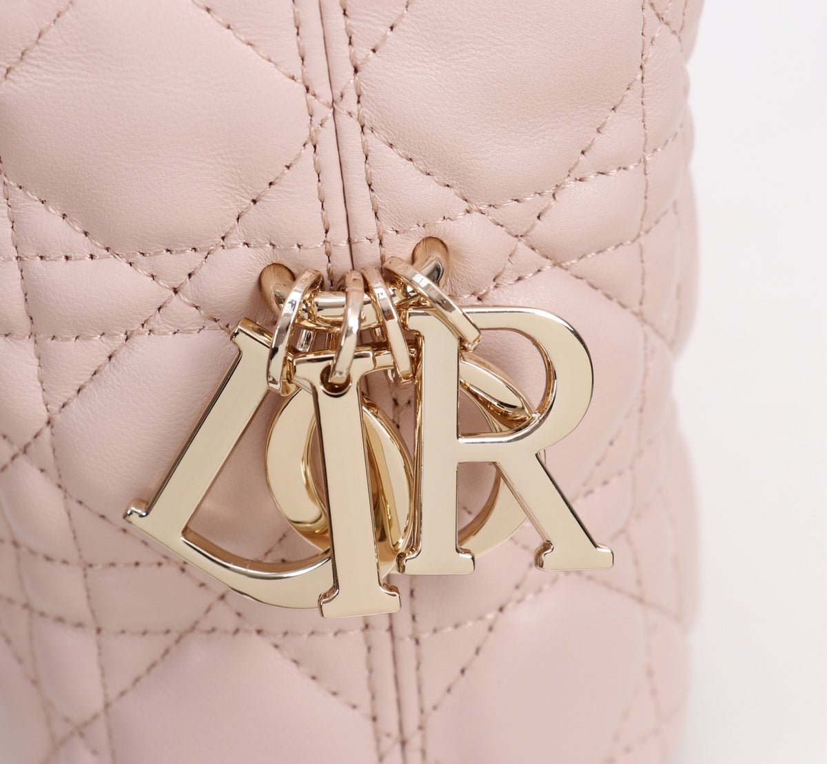 Dior Jonathan Anderson Lotus Pink Gold Hardware 1538