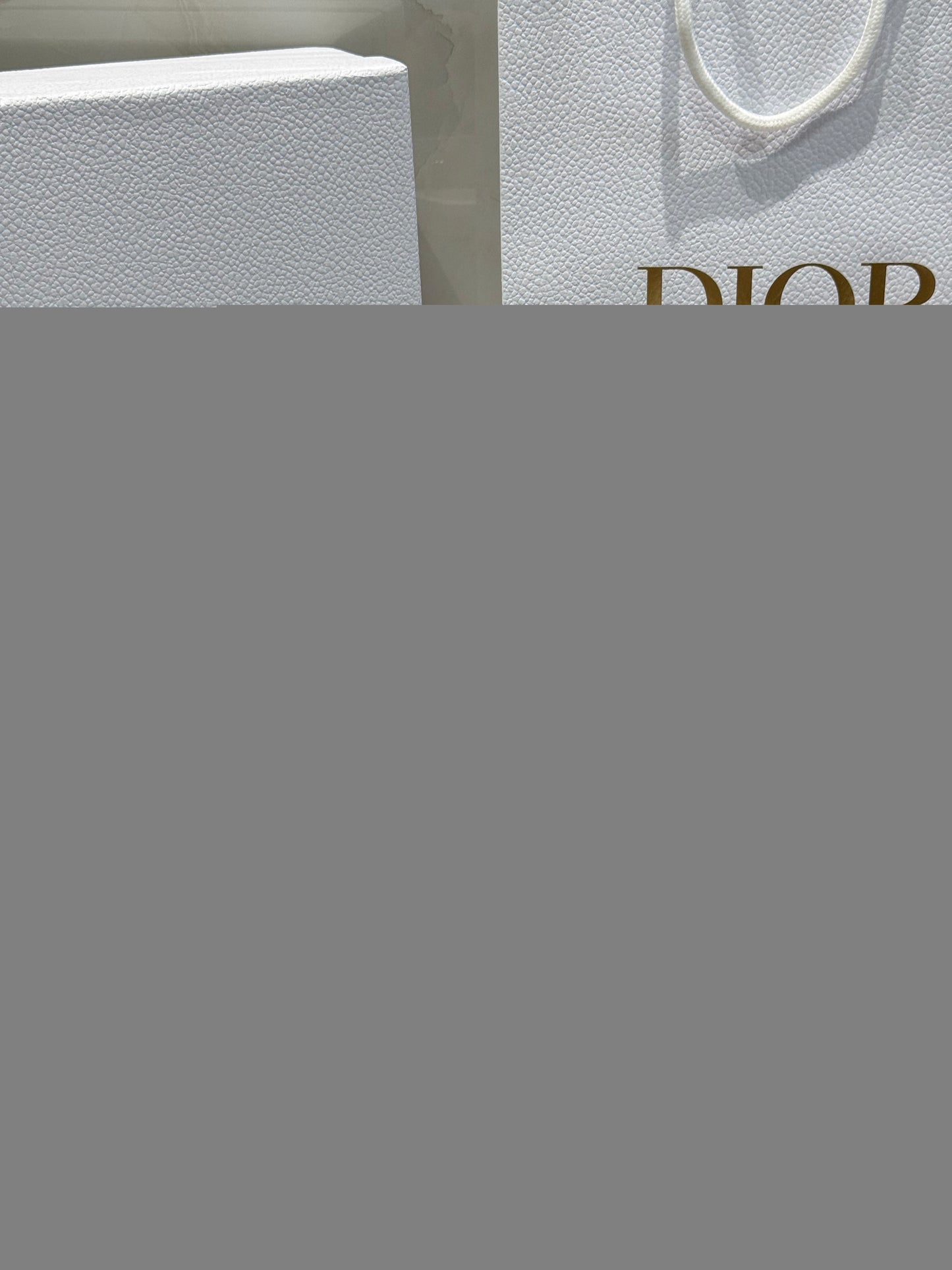 Dior Bow Tote Grey Gold Hardware DO0737 - Image 17