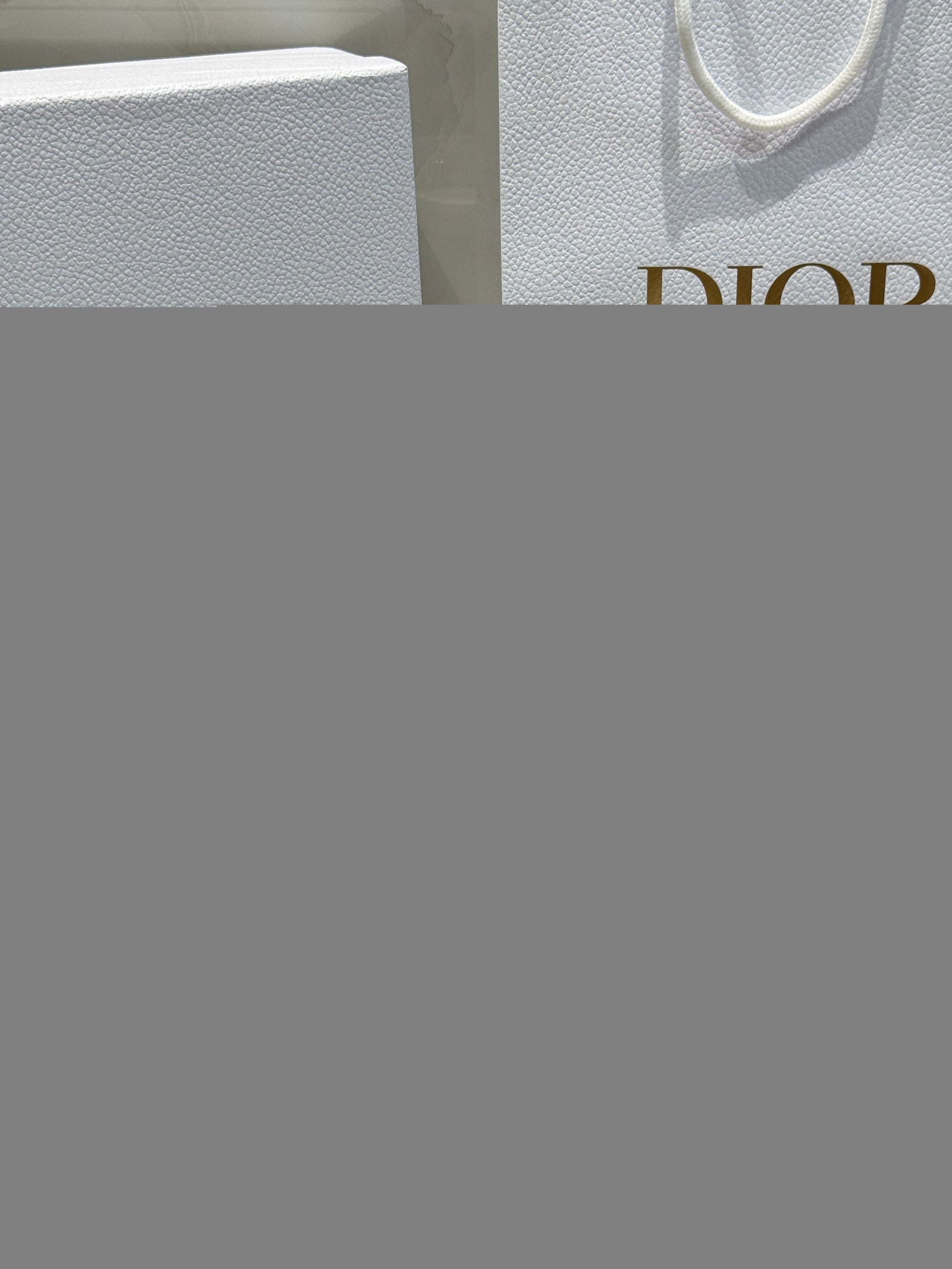 Dior Bow Tote Grey Gold Hardware DO0737 - Image 17