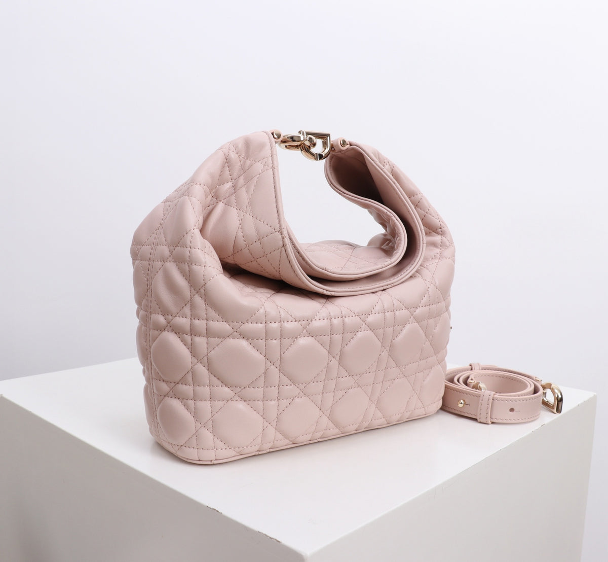 Dior Jonathan Anderson Lotus Pink Gold Hardware 1538