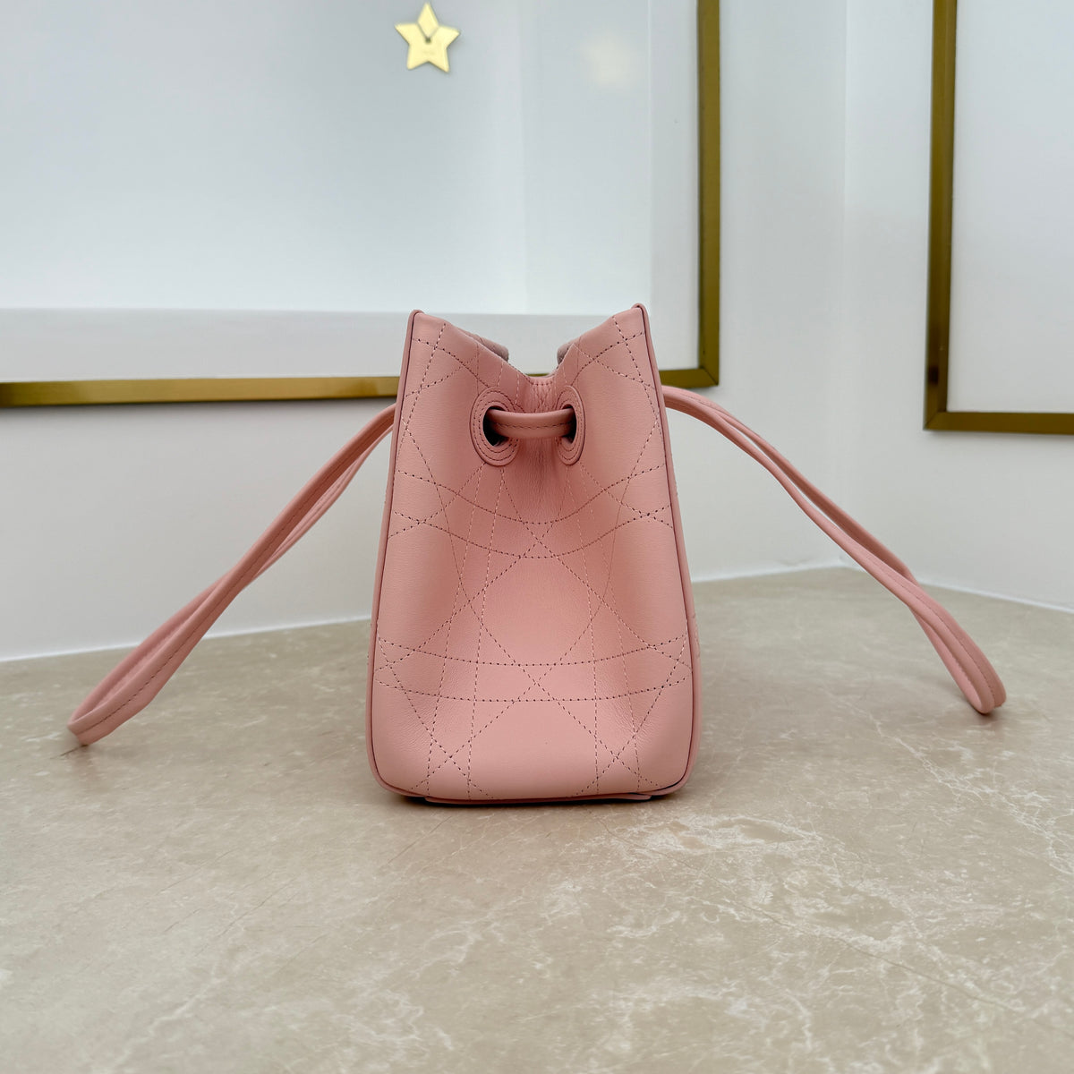 Dior Small Promenade Shopping Bag Pink M1410