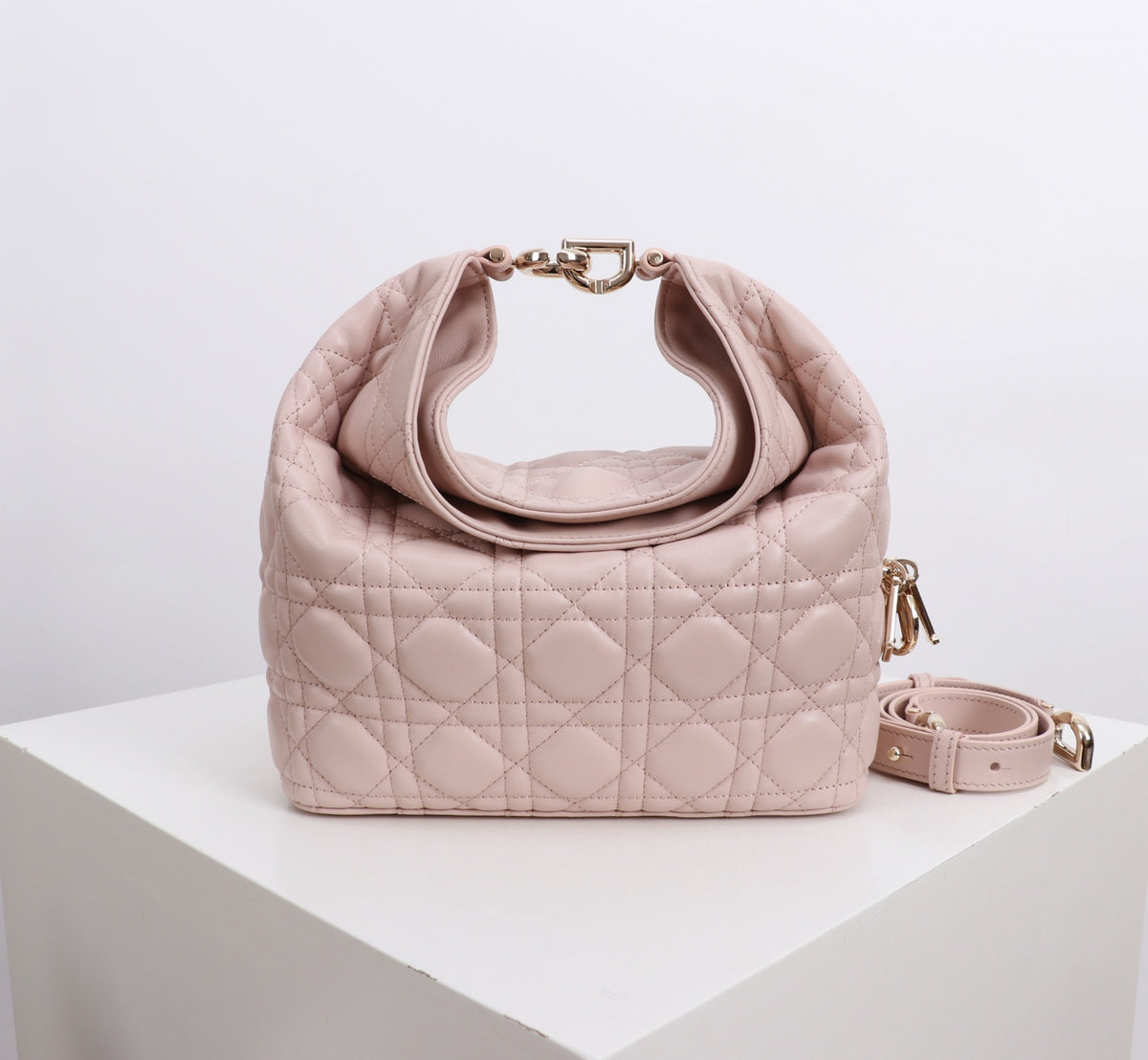Dior Jonathan Anderson Lotus Pink Gold Hardware 1538