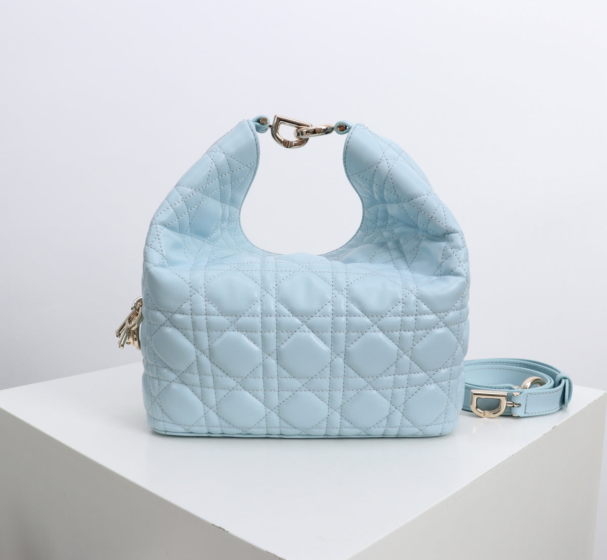 Dior Jonathan Anderson Glacier Blue Gold Hardware 1538