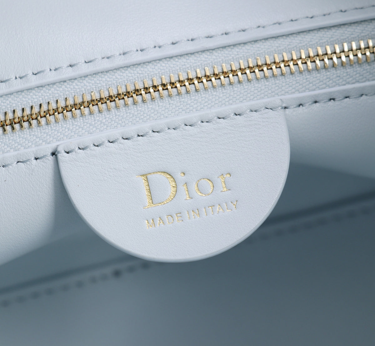 Dior Jonathan Anderson Sky Blue Gold Hardware 1538