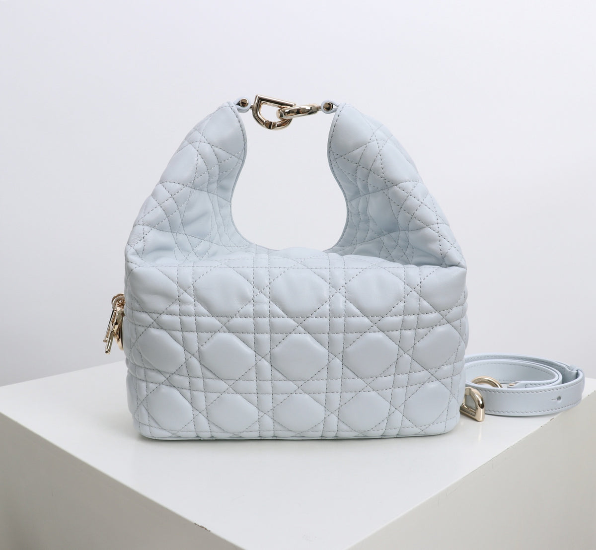 Dior Jonathan Anderson Sky Blue Gold Hardware 1538