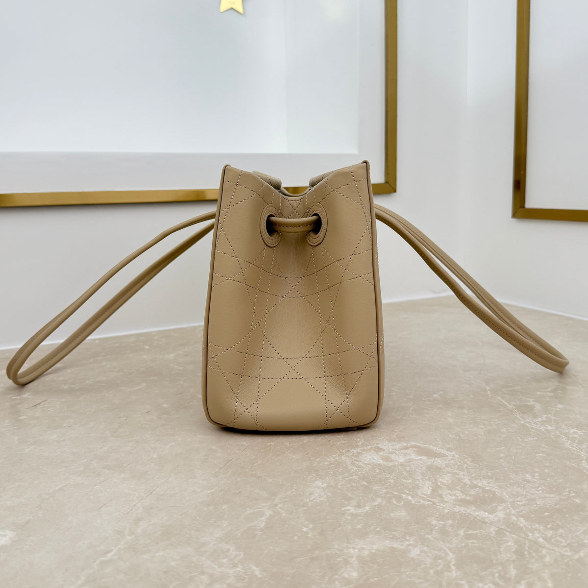 Dior Small Promenade Shopping Bag Apricot M1410