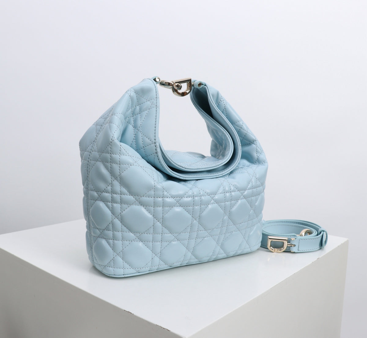 Dior Jonathan Anderson Glacier Blue Gold Hardware 1538