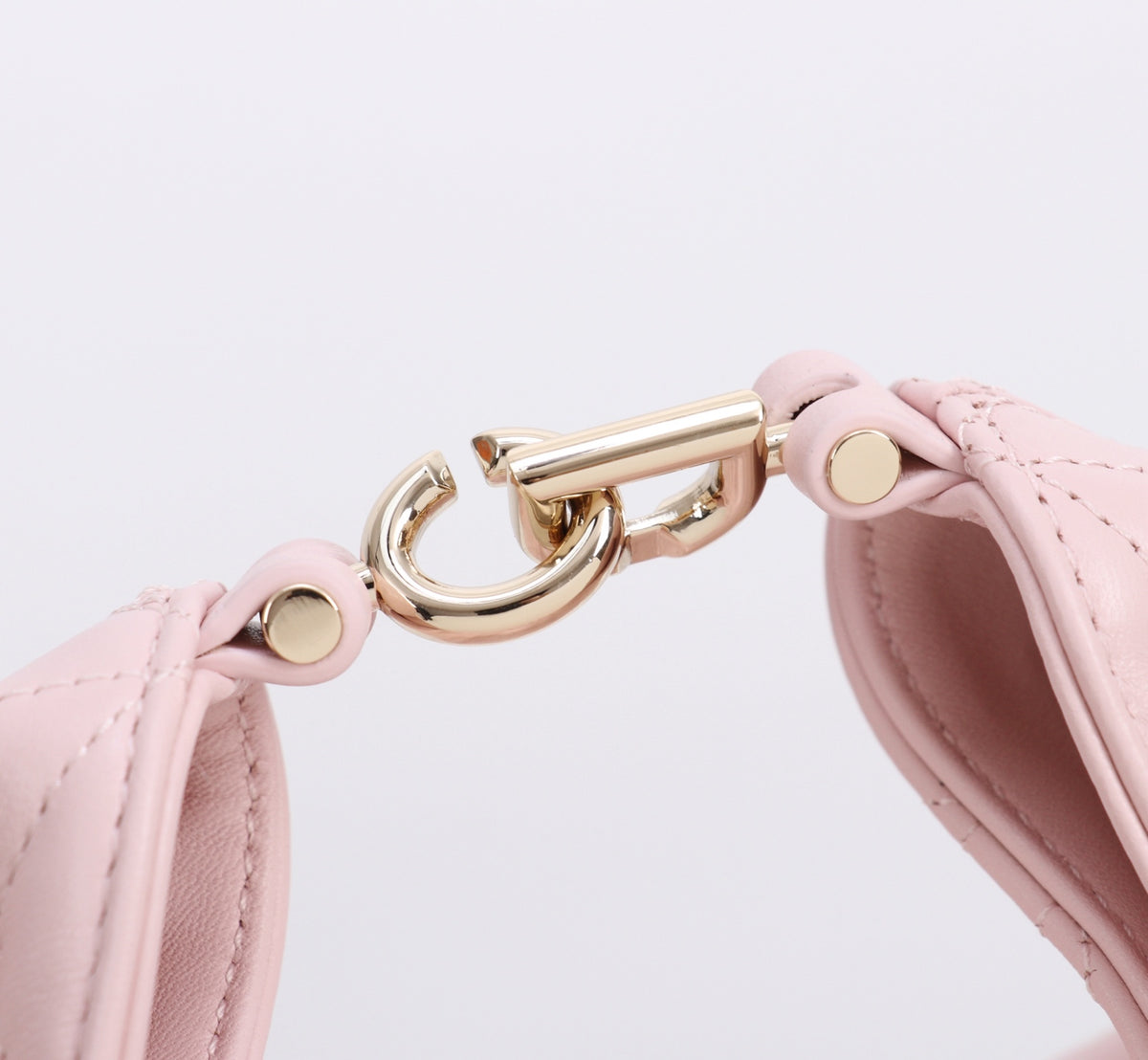 Dior Jonathan Anderson Mini Cherry Blossom Pink Gold Hardware 1538S