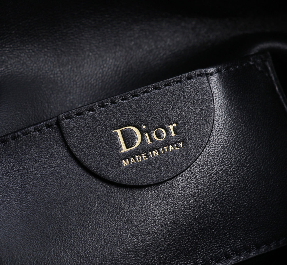 Dior Jonathan Anderson Mini Black Gold Hardware 1538S