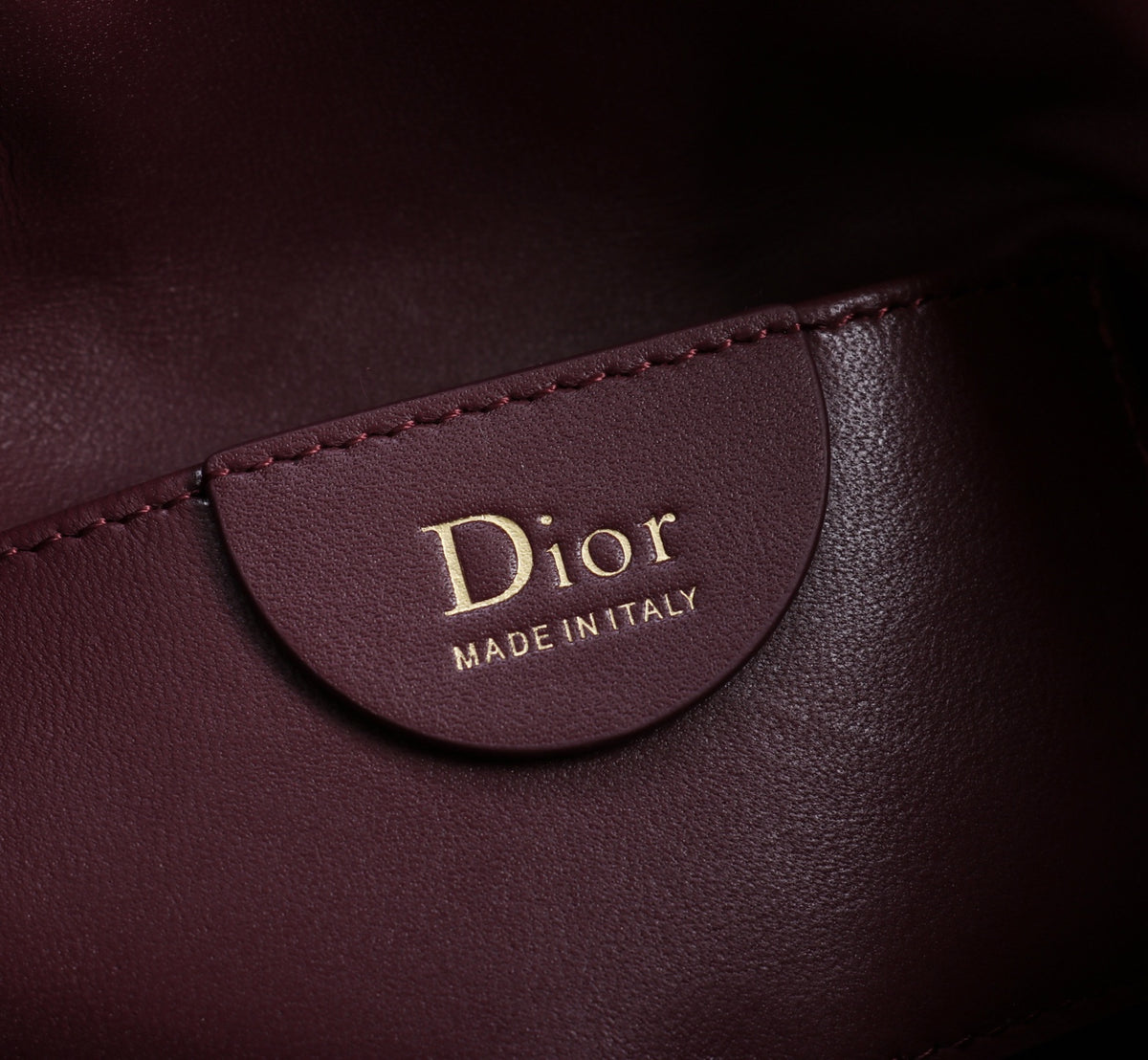 Dior Jonathan Anderson Mini Wine Red Gold Hardware 1538S