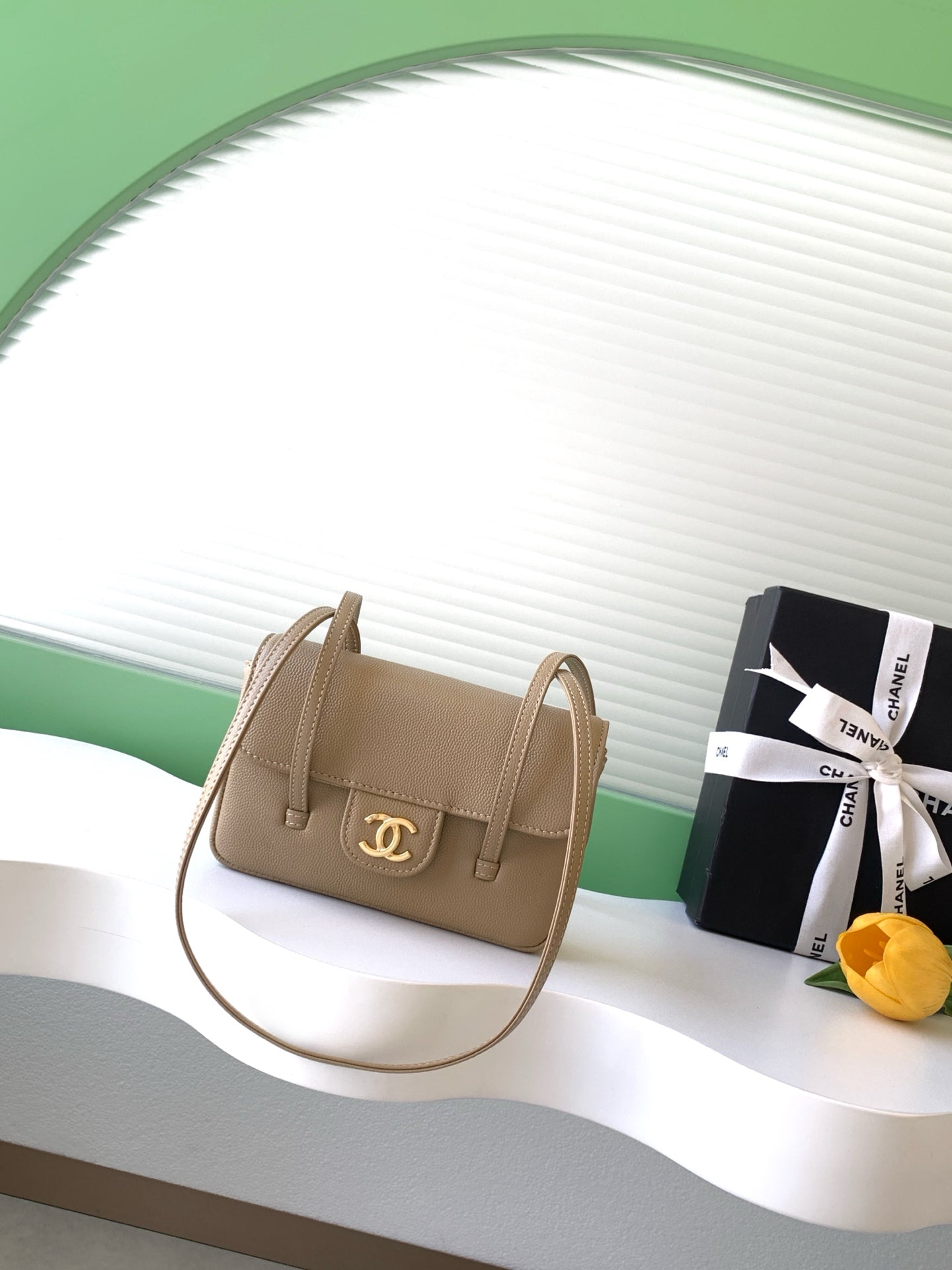 Chanel 26P Mini Preppy Coco Bag Brown AP5068 - View 1
