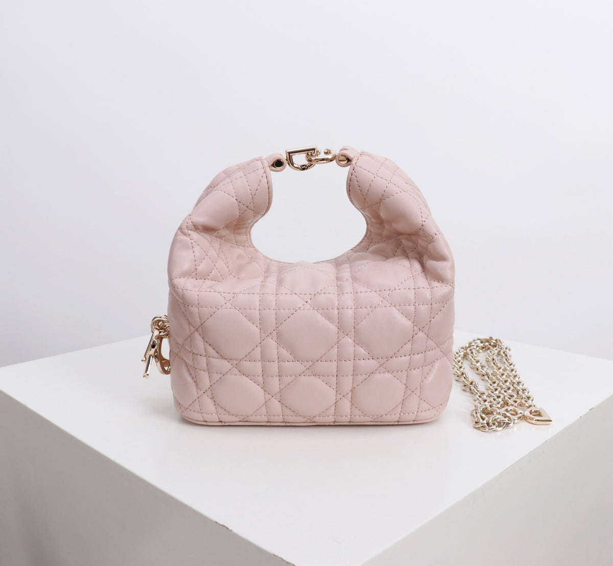 Dior Jonathan Anderson Mini Lotus Pink Gold Hardware 1538S