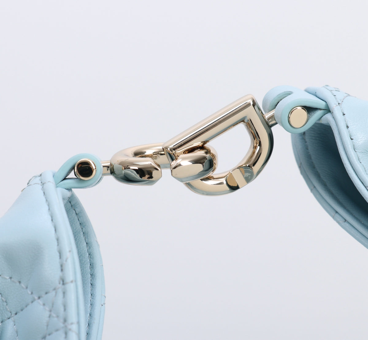 Dior Jonathan Anderson Glacier Blue Gold Hardware 1538