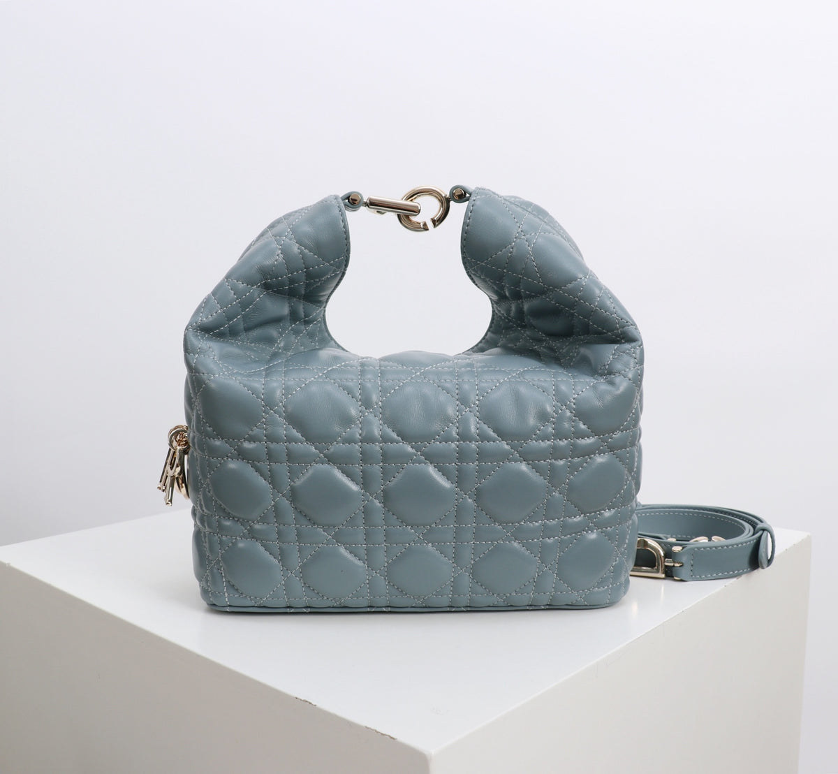 Dior Jonathan Anderson Army Green Blue Gold Hardware 1538