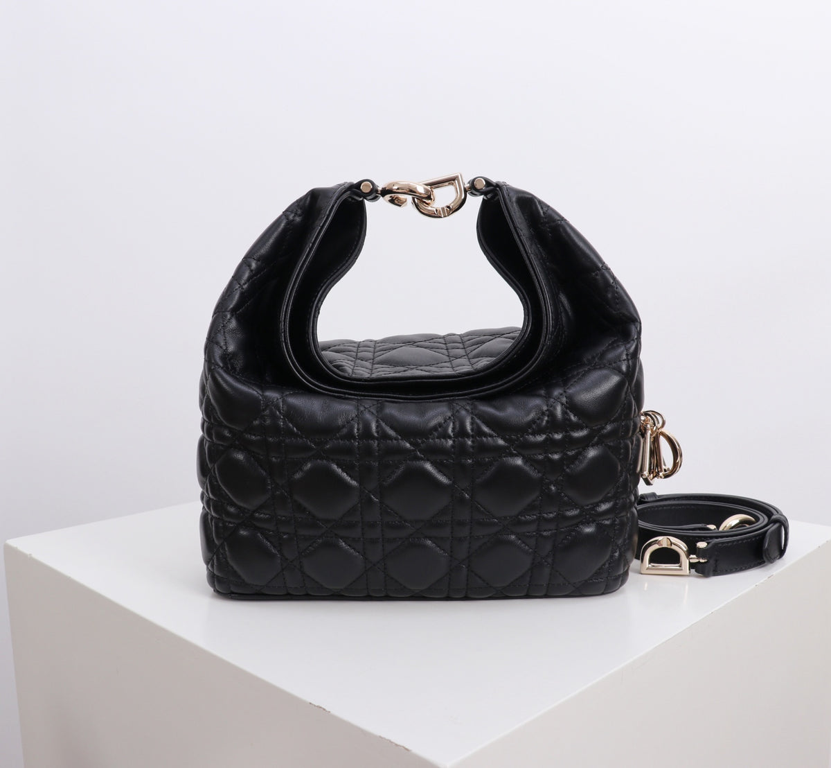 Dior Jonathan Anderson Black Gold Hardware 1538