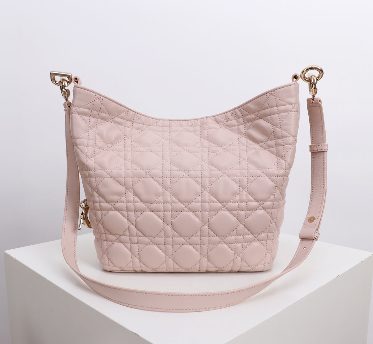 Dior Jonathan Anderson Lotus Pink Gold Hardware 1538