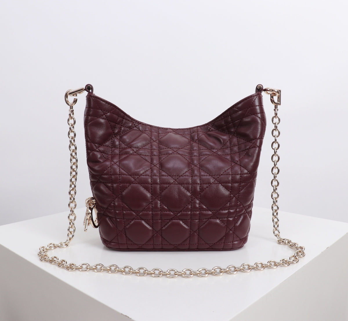Dior Jonathan Anderson Mini Wine Red Gold Hardware 1538S