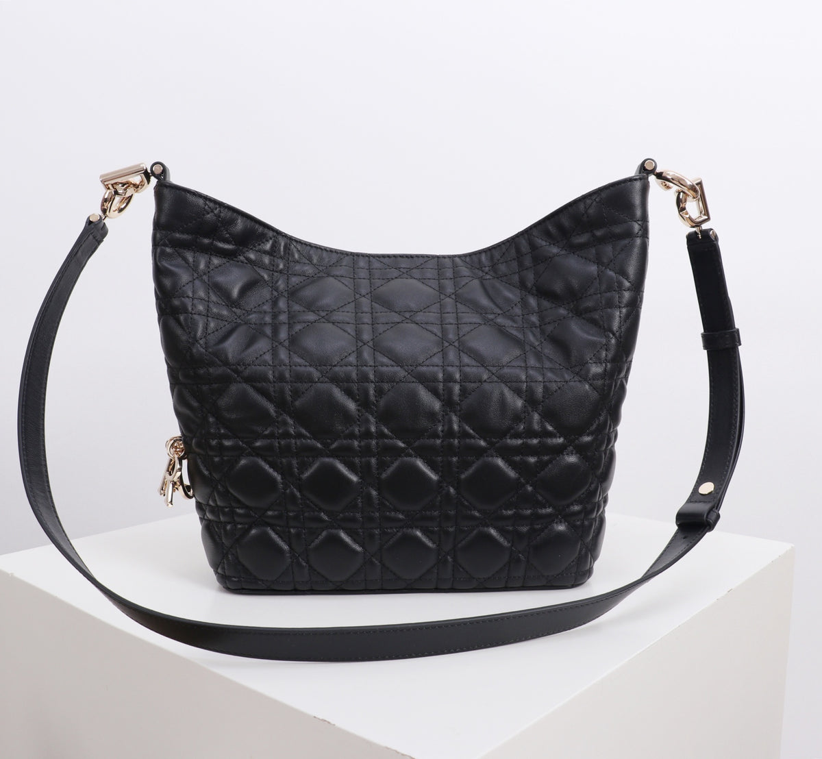 Dior Jonathan Anderson Black Gold Hardware 1538