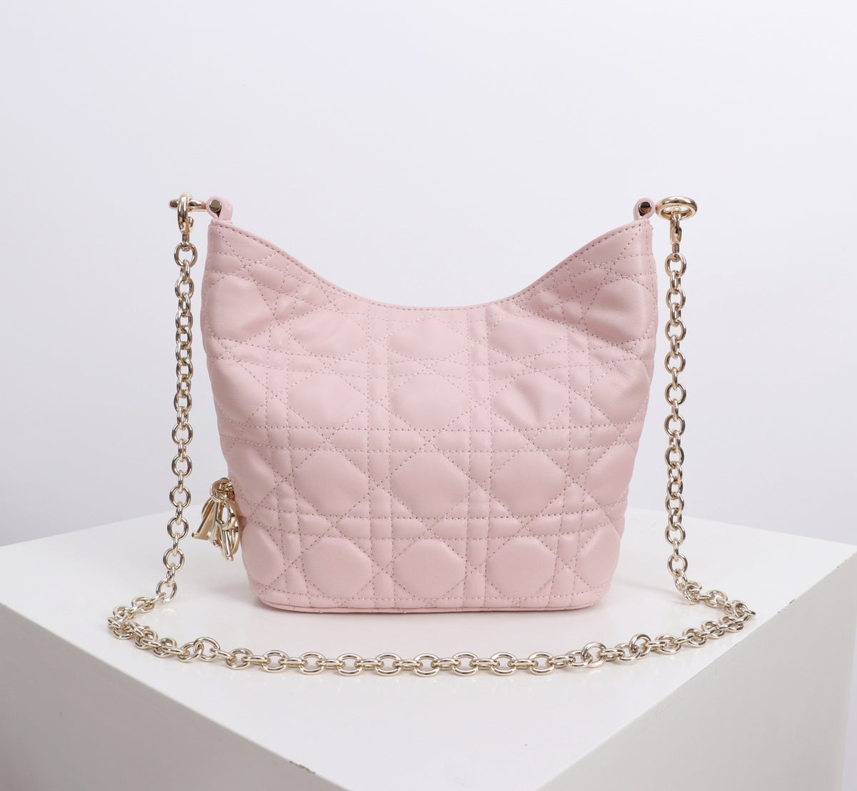 Dior Jonathan Anderson Mini Cherry Blossom Pink Gold Hardware 1538S