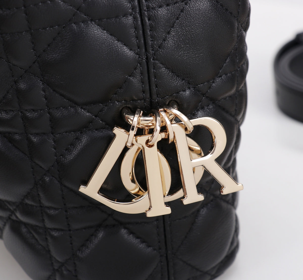 Dior Jonathan Anderson Black Gold Hardware 1538