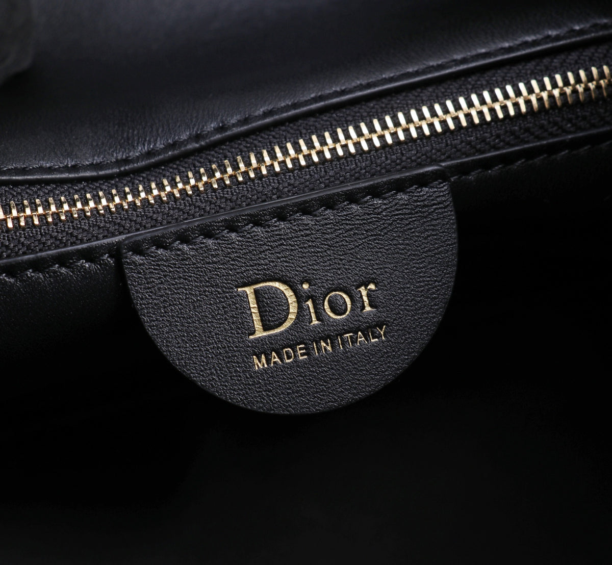Dior Jonathan Anderson Black Gold Hardware 1538