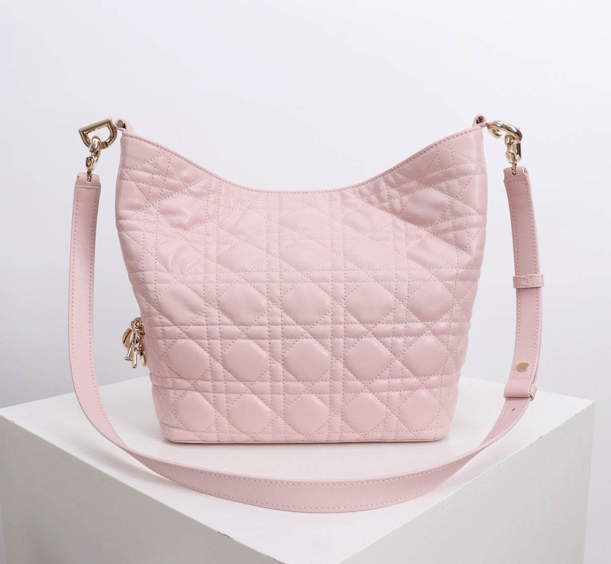 Dior Jonathan Anderson Cherry Blossom Pink Gold Hardware 1538