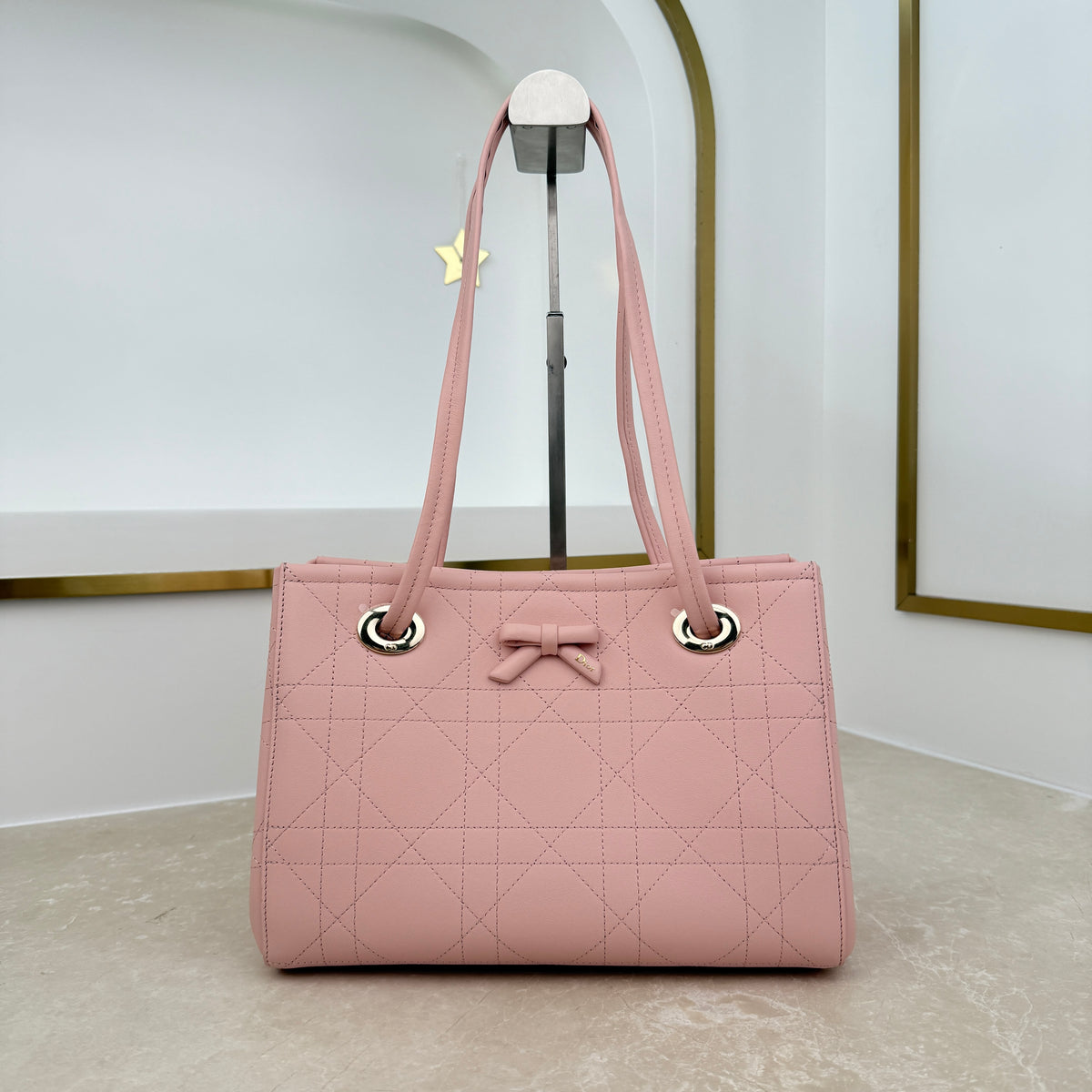 Dior Small Promenade Shopping Bag Pink M1410