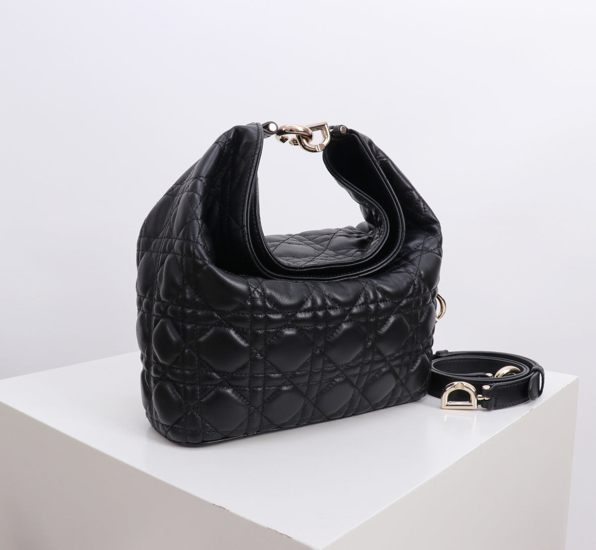 Dior Jonathan Anderson Black Gold Hardware 1538