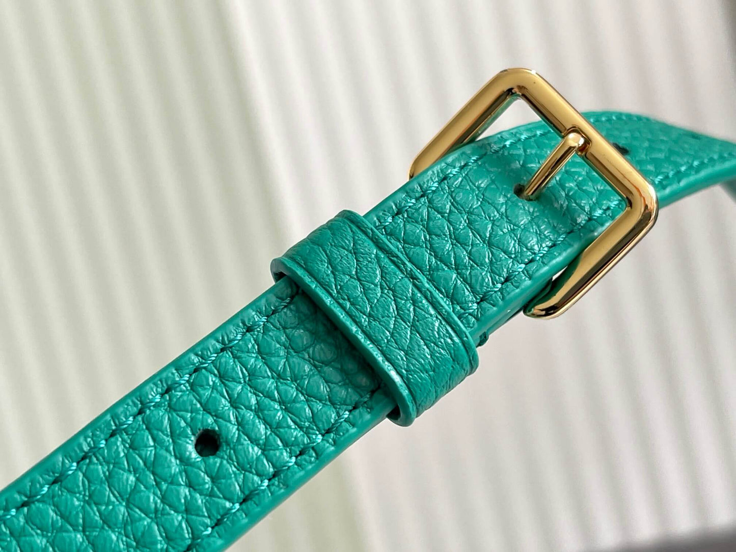 m57219 m48865 capucines bb shoulder handbag green