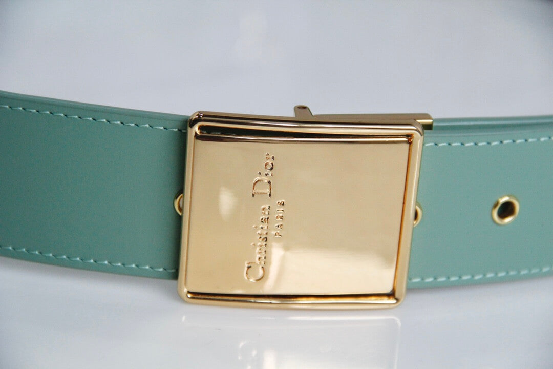 d9008s minibox oblique 30 montaigne shoulder bag cross body bags green