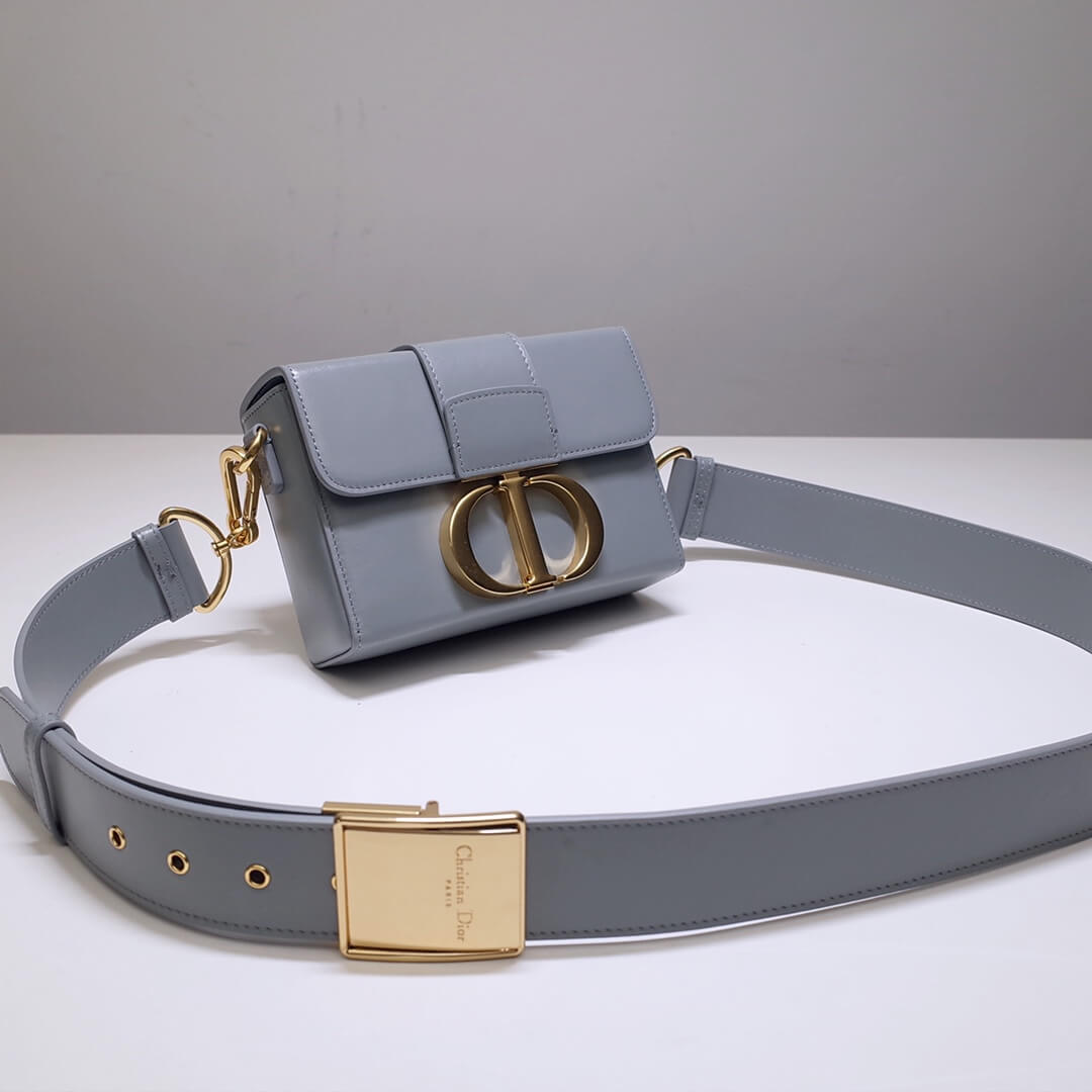 d9008s minibox oblique 30 montaigne shoulder bag cross body bags grey