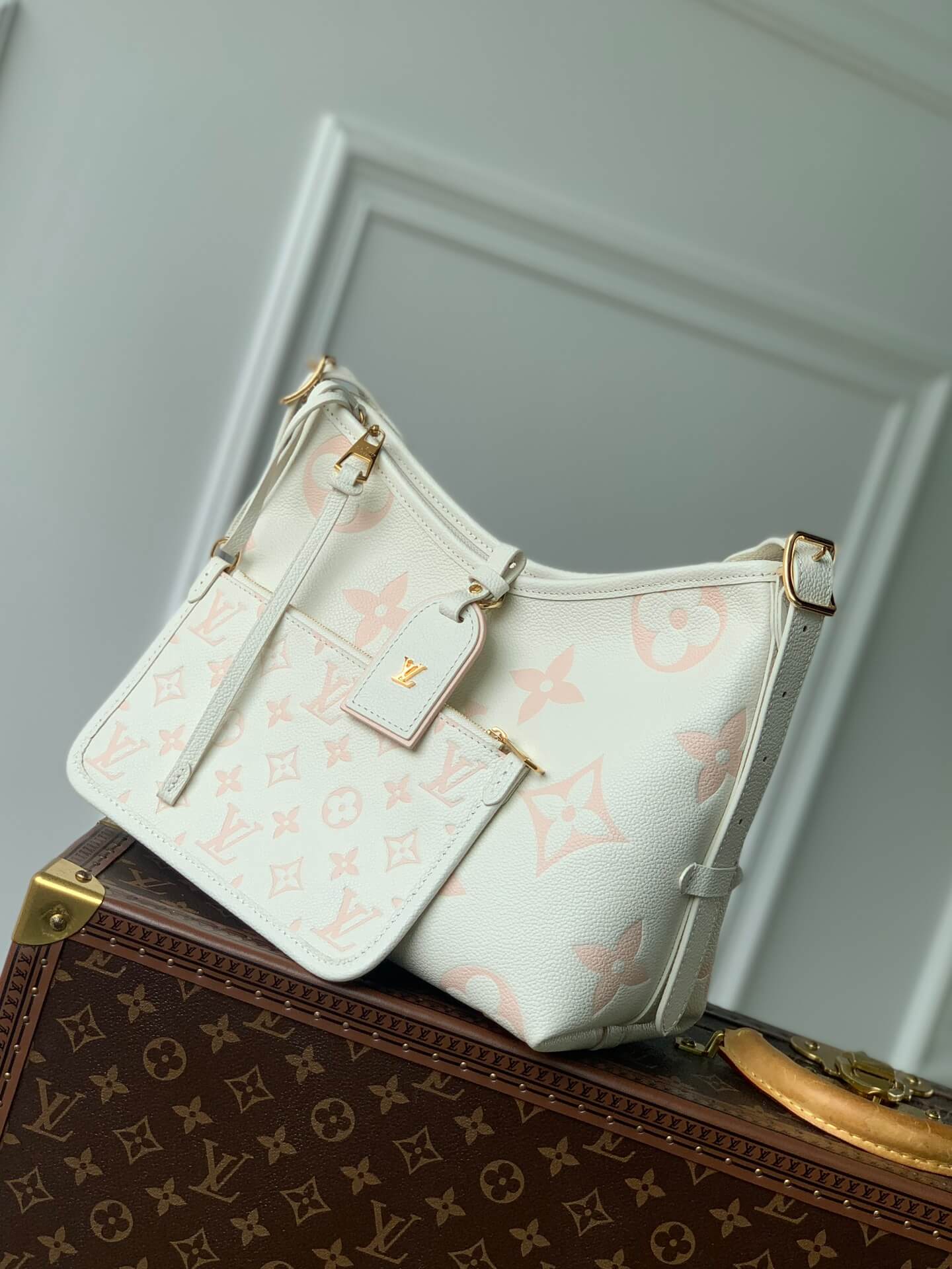 LV CarryAll PM  Shoulder bag white pink M46288