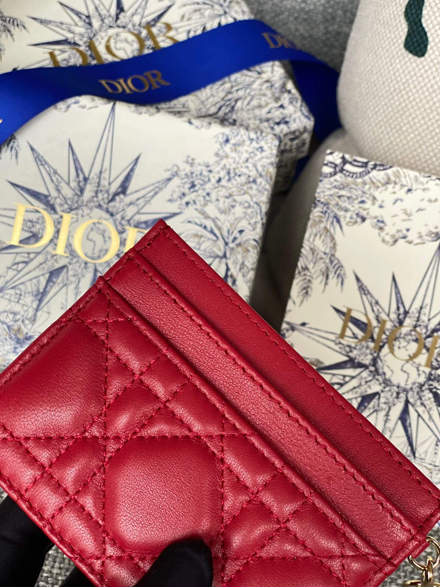 lady card holder lacquer leather dmz240617 red