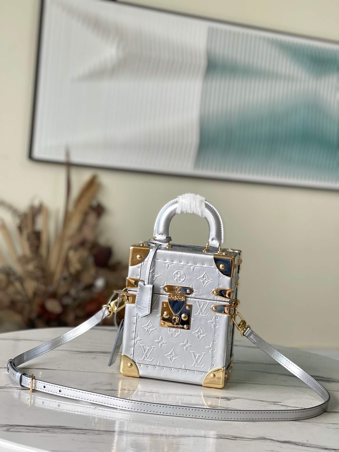 m10115 camera box silver monogram 20cm cowhide real leather