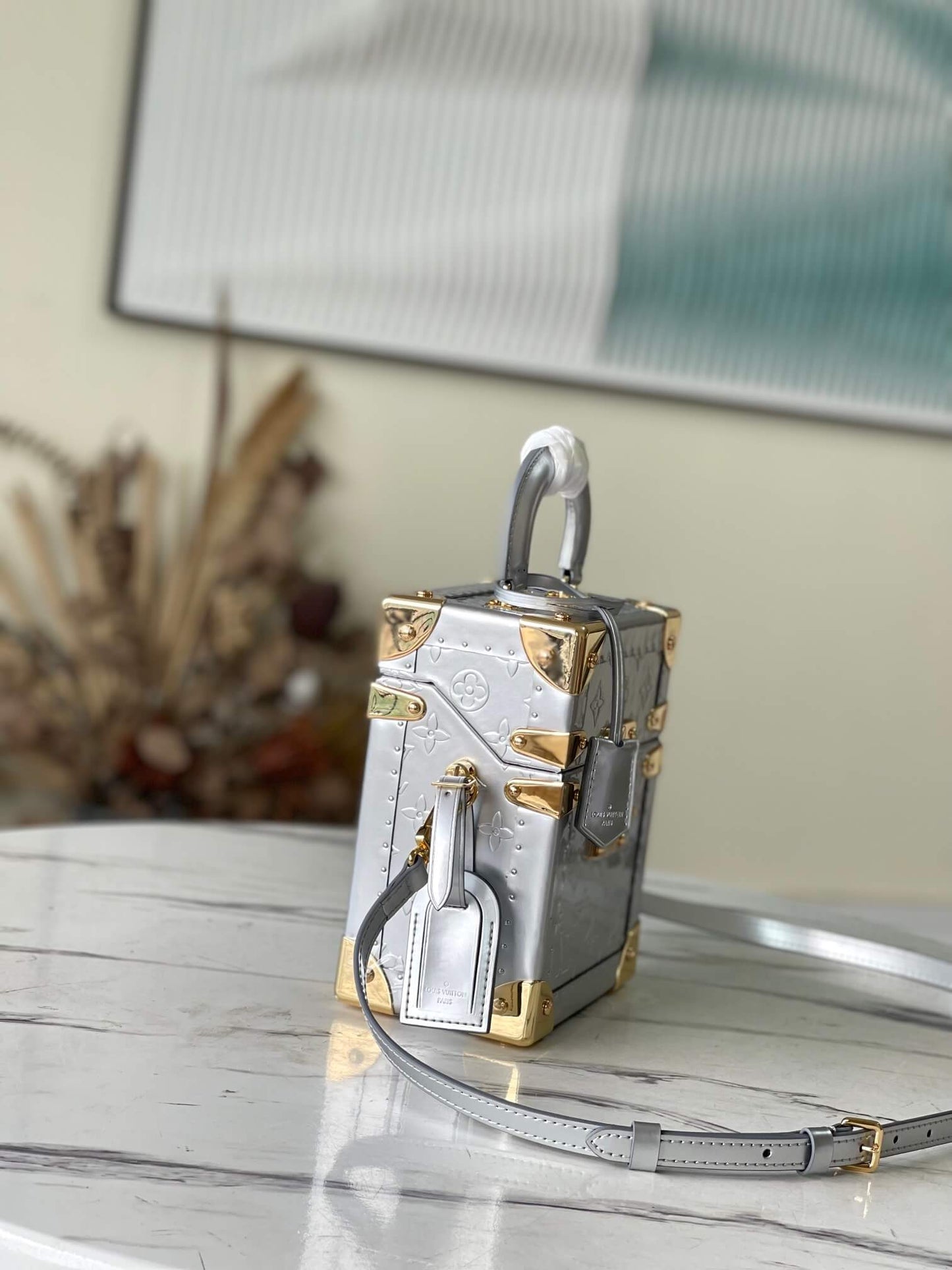 m10115 camera box silver monogram 20cm cowhide real leather