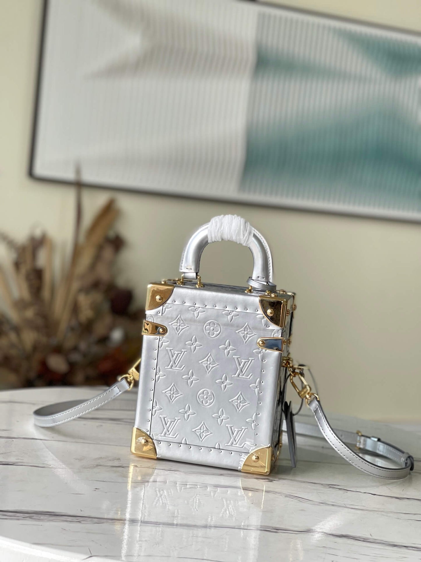 m10115 camera box silver monogram 20cm cowhide real leather