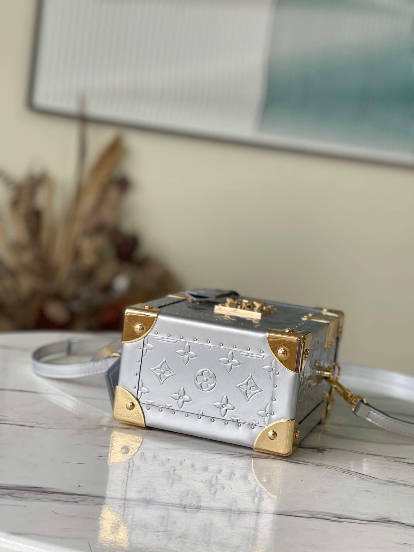 m10115 camera box silver monogram 20cm cowhide real leather