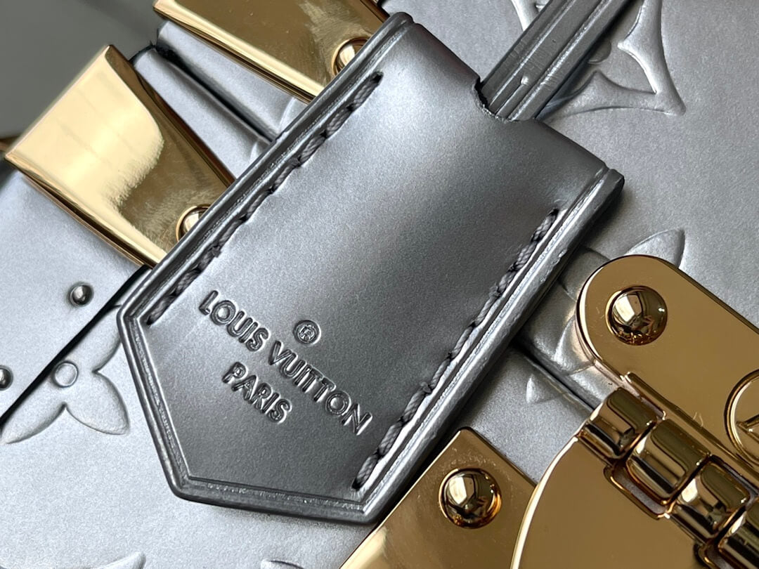 m10115 camera box silver monogram 20cm cowhide real leather