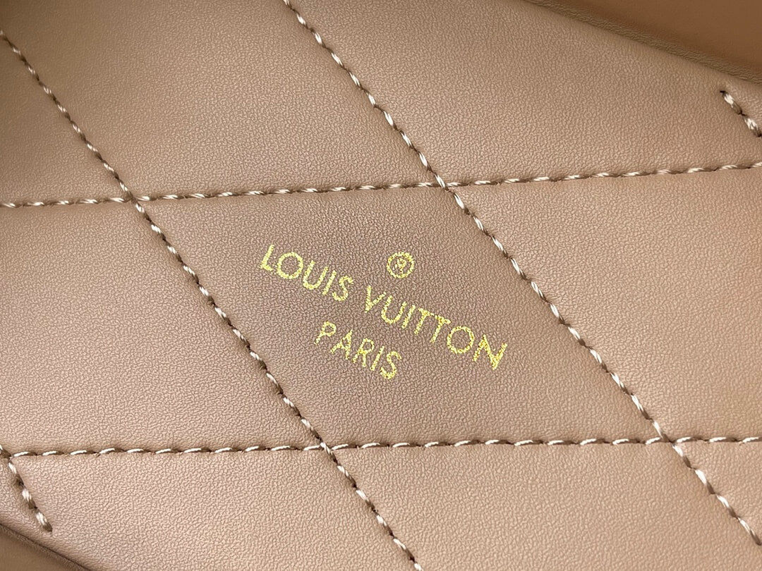 m10115 camera box silver monogram 20cm cowhide real leather