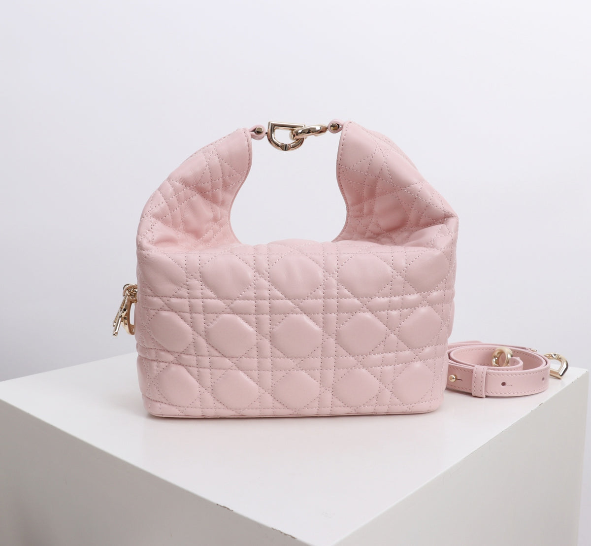Dior Jonathan Anderson Cherry Blossom Pink Gold Hardware 1538